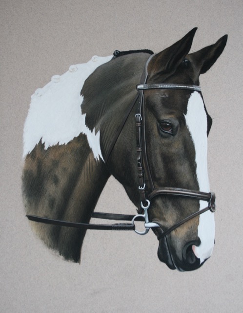 Lindsay Hill - Coloured Horse Drawing